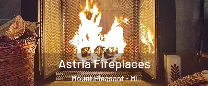  Astria Fireplaces Mount Pleasant - MI