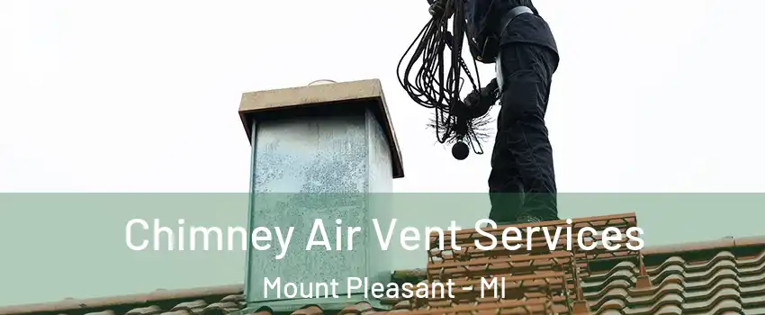  Chimney Air Vent Services Mount Pleasant - MI
