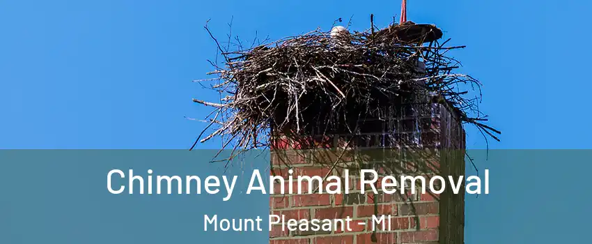  Chimney Animal Removal Mount Pleasant - MI
