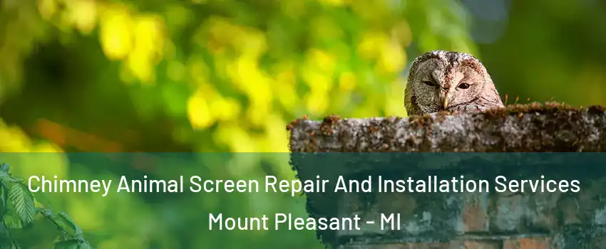  Chimney Animal Screen Repair And Installation Services Mount Pleasant - MI