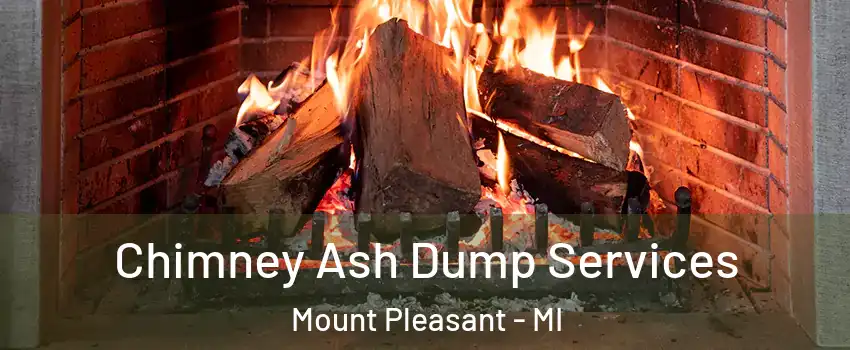  Chimney Ash Dump Services Mount Pleasant - MI