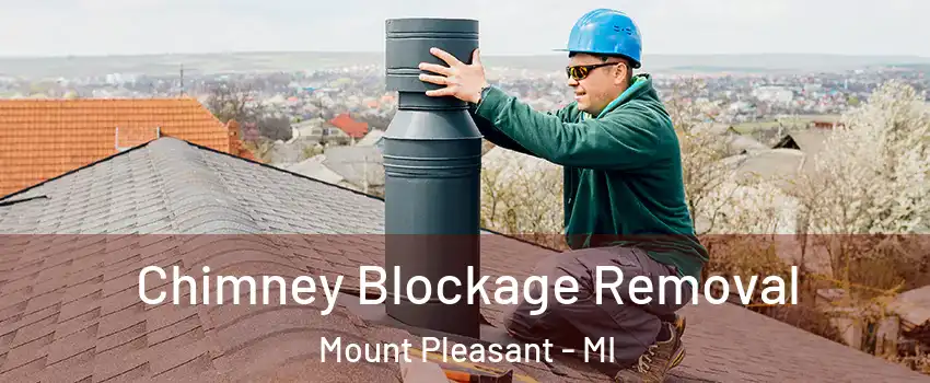  Chimney Blockage Removal Mount Pleasant - MI