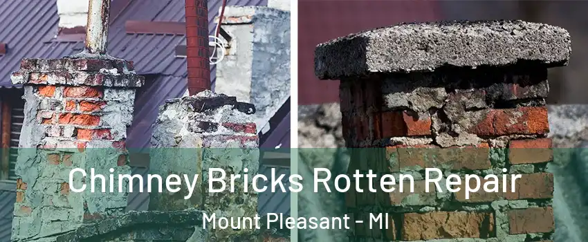  Chimney Bricks Rotten Repair Mount Pleasant - MI