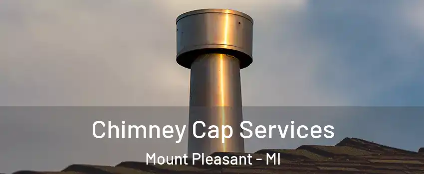  Chimney Cap Services Mount Pleasant - MI