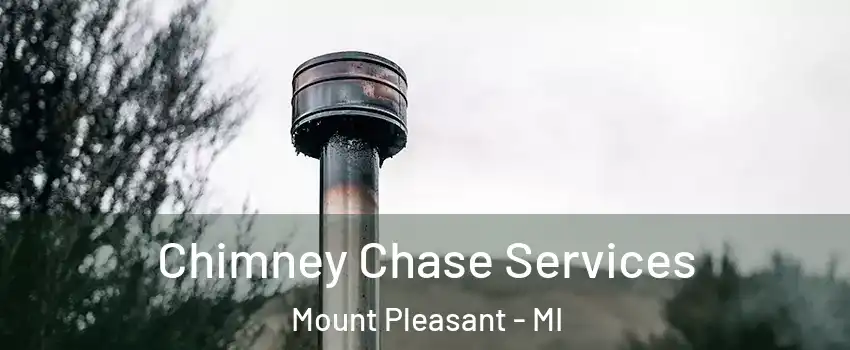  Chimney Chase Services Mount Pleasant - MI