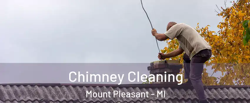  Chimney Cleaning Mount Pleasant - MI