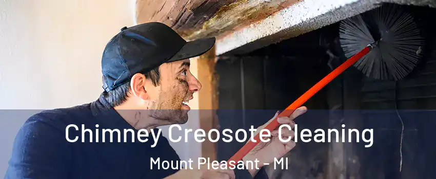  Chimney Creosote Cleaning Mount Pleasant - MI