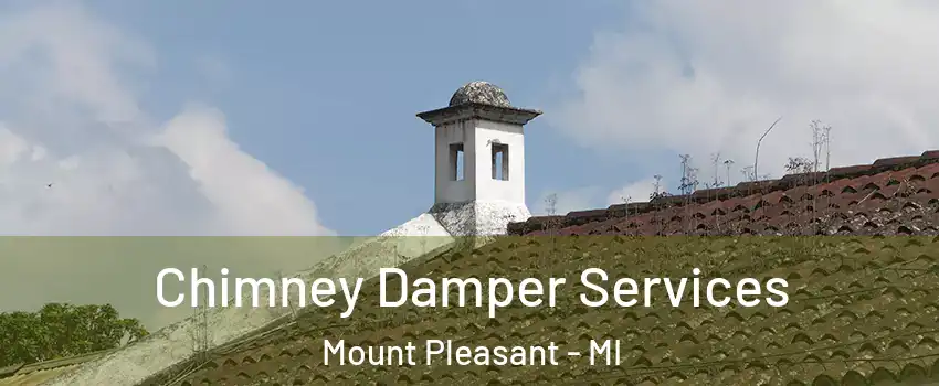  Chimney Damper Services Mount Pleasant - MI