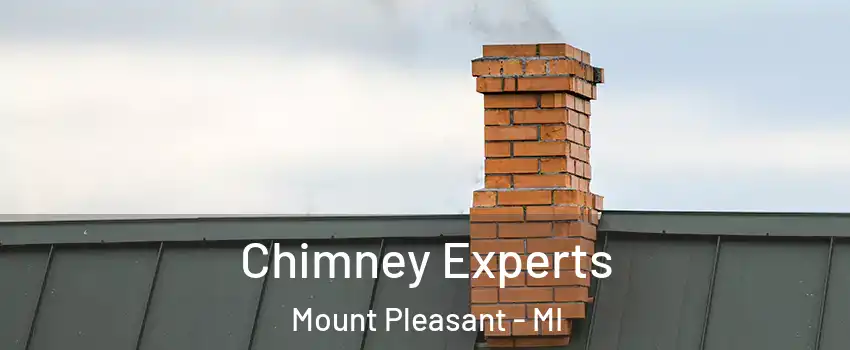 Chimney Experts Mount Pleasant - MI