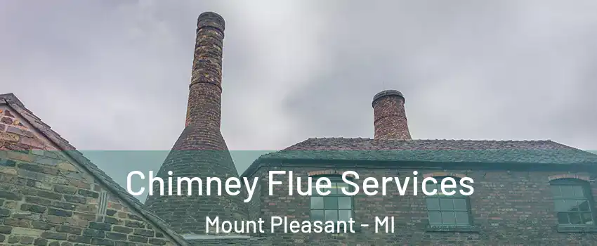  Chimney Flue Services Mount Pleasant - MI