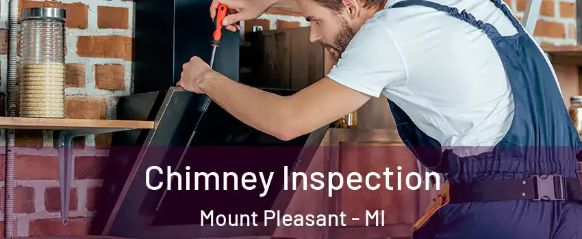  Chimney Inspection Mount Pleasant - MI