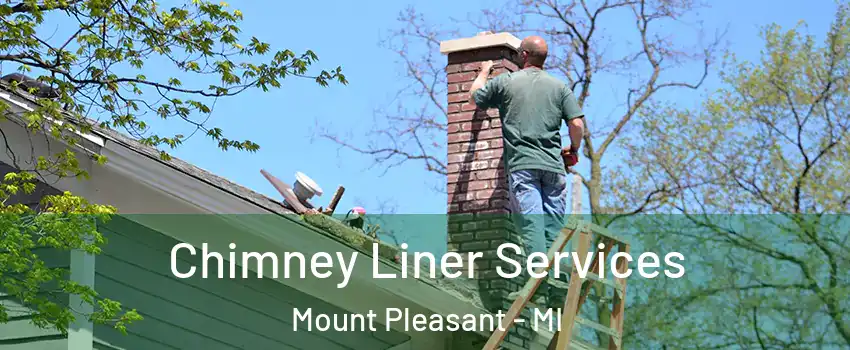  Chimney Liner Services Mount Pleasant - MI