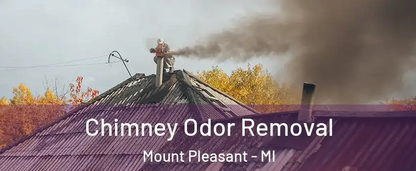  Chimney Odor Removal Mount Pleasant - MI