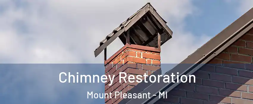  Chimney Restoration Mount Pleasant - MI