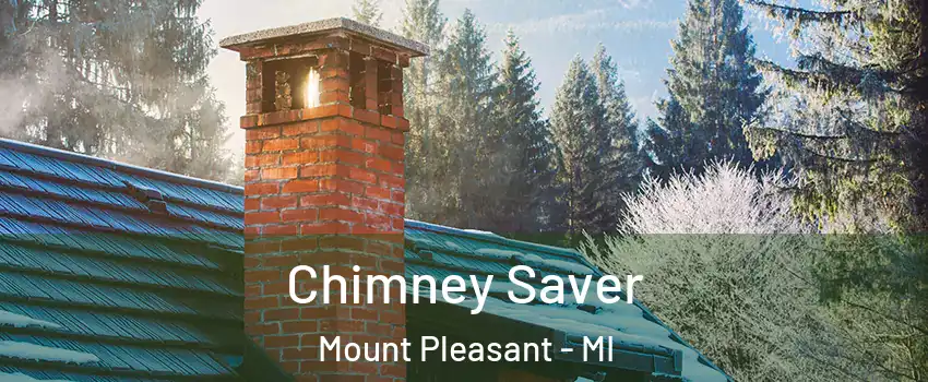  Chimney Saver Mount Pleasant - MI