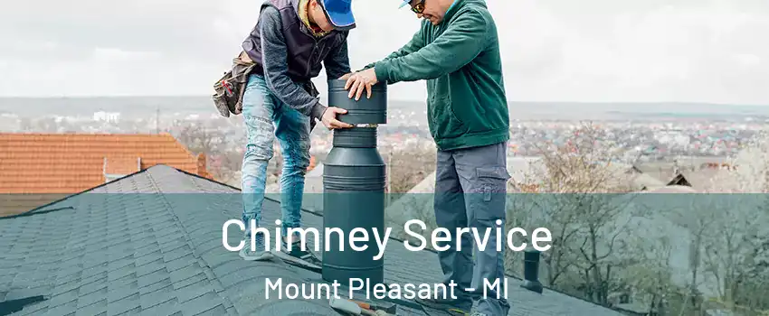  Chimney Service Mount Pleasant - MI