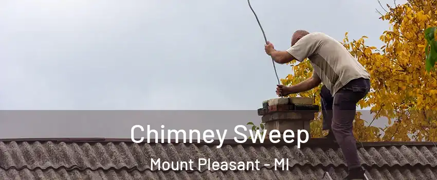  Chimney Sweep Mount Pleasant - MI