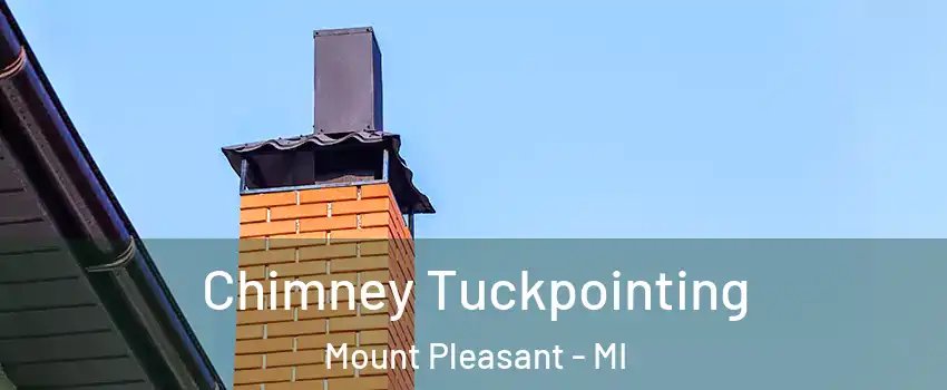  Chimney Tuckpointing Mount Pleasant - MI