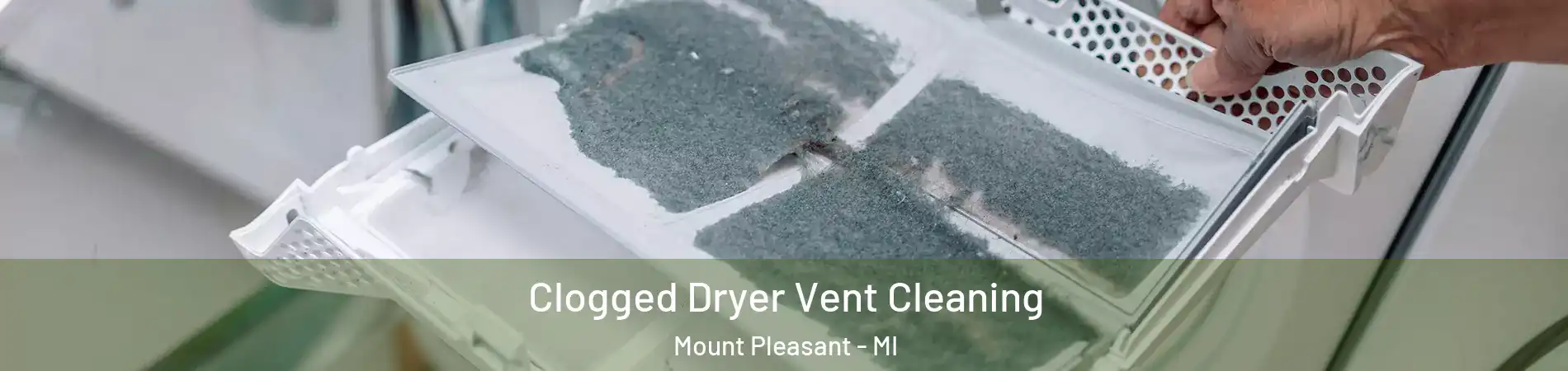  Clogged Dryer Vent Cleaning Mount Pleasant - MI