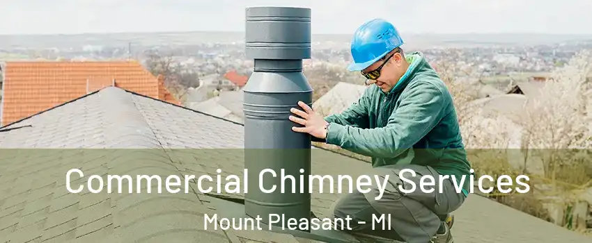  Commercial Chimney Services Mount Pleasant - MI