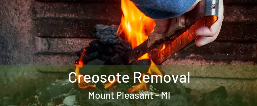  Creosote Removal Mount Pleasant - MI