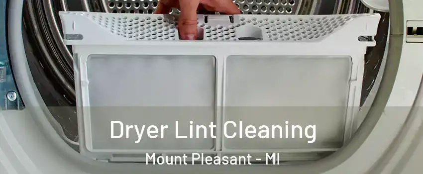  Dryer Lint Cleaning Mount Pleasant - MI