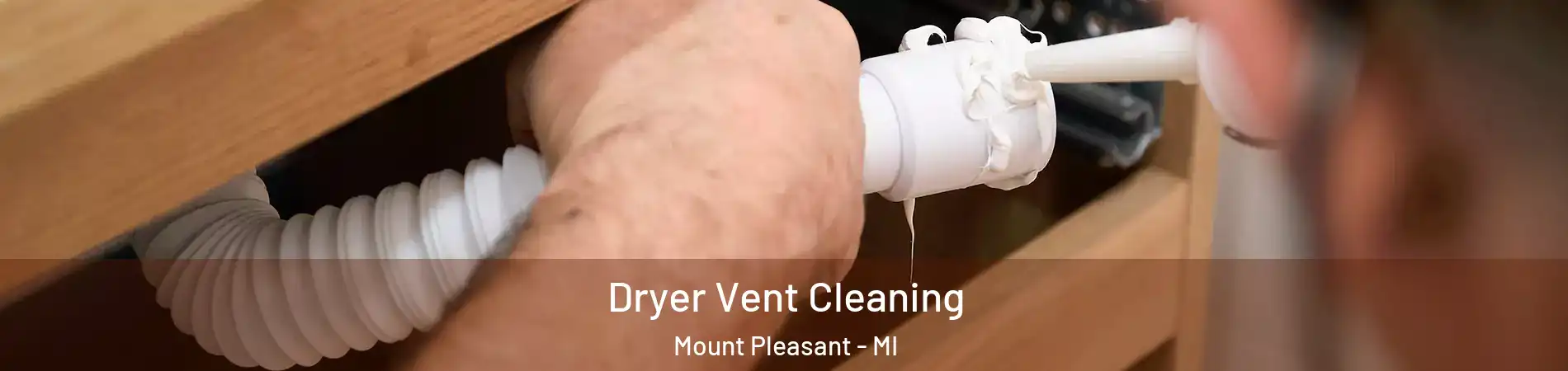  Dryer Vent Cleaning Mount Pleasant - MI