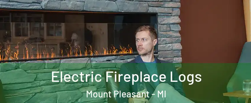 Electric Fireplace Logs Mount Pleasant - MI