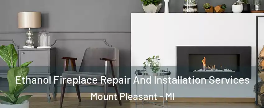  Ethanol Fireplace Repair And Installation Services Mount Pleasant - MI