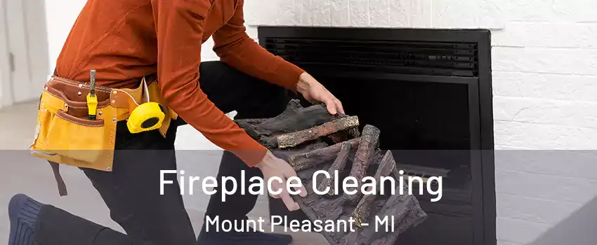  Fireplace Cleaning Mount Pleasant - MI