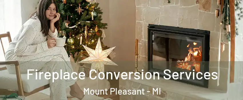  Fireplace Conversion Services Mount Pleasant - MI