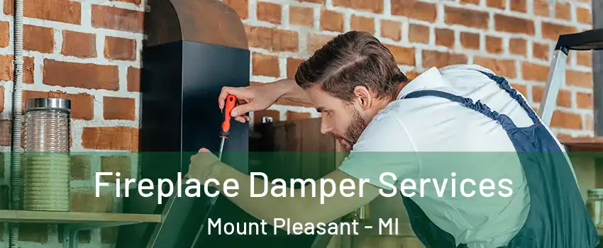  Fireplace Damper Services Mount Pleasant - MI