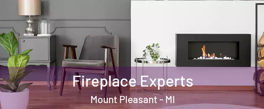  Fireplace Experts Mount Pleasant - MI