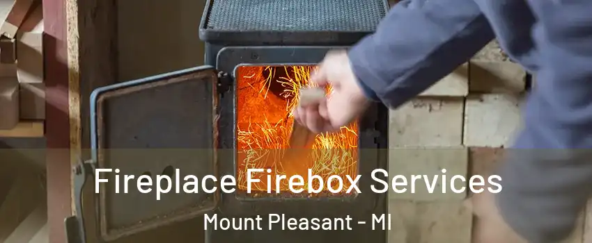  Fireplace Firebox Services Mount Pleasant - MI