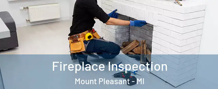  Fireplace Inspection Mount Pleasant - MI