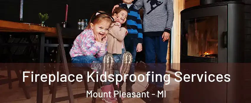  Fireplace Kidsproofing Services Mount Pleasant - MI