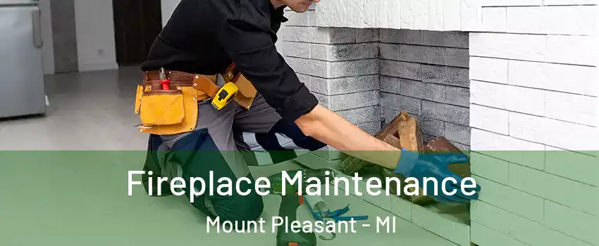  Fireplace Maintenance Mount Pleasant - MI