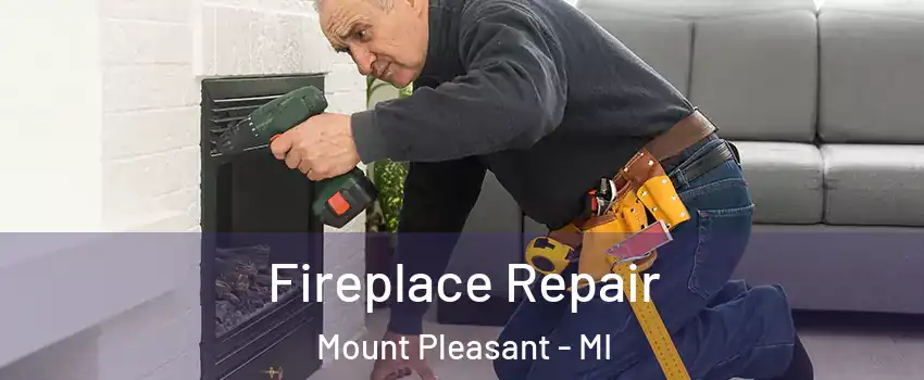  Fireplace Repair Mount Pleasant - MI