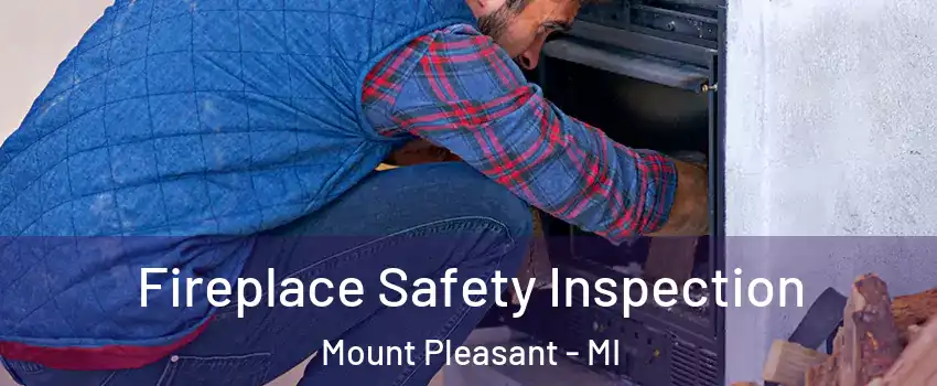  Fireplace Safety Inspection Mount Pleasant - MI