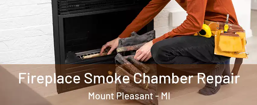  Fireplace Smoke Chamber Repair Mount Pleasant - MI