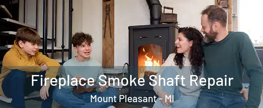  Fireplace Smoke Shaft Repair Mount Pleasant - MI
