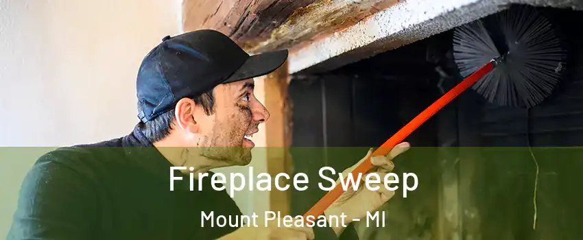  Fireplace Sweep Mount Pleasant - MI