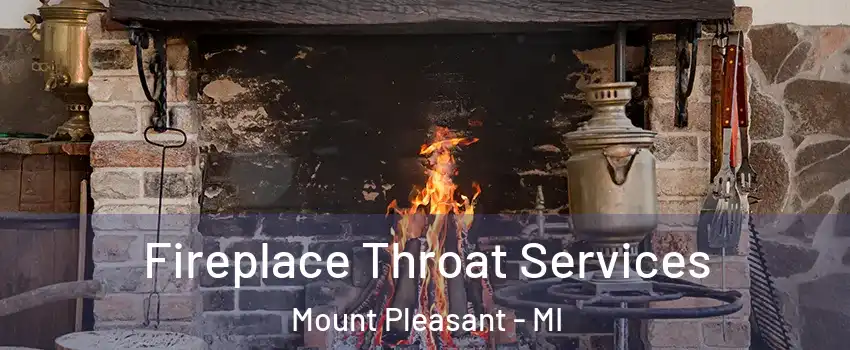  Fireplace Throat Services Mount Pleasant - MI