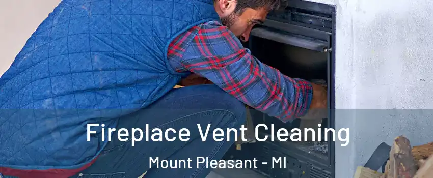  Fireplace Vent Cleaning Mount Pleasant - MI