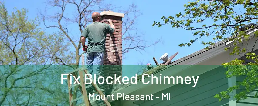  Fix Blocked Chimney Mount Pleasant - MI
