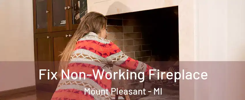  Fix Non-Working Fireplace Mount Pleasant - MI