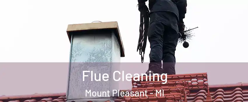  Flue Cleaning Mount Pleasant - MI