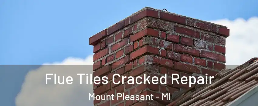  Flue Tiles Cracked Repair Mount Pleasant - MI