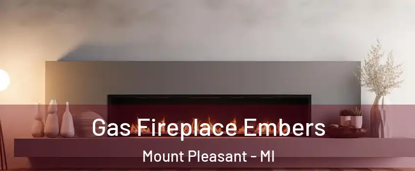  Gas Fireplace Embers Mount Pleasant - MI