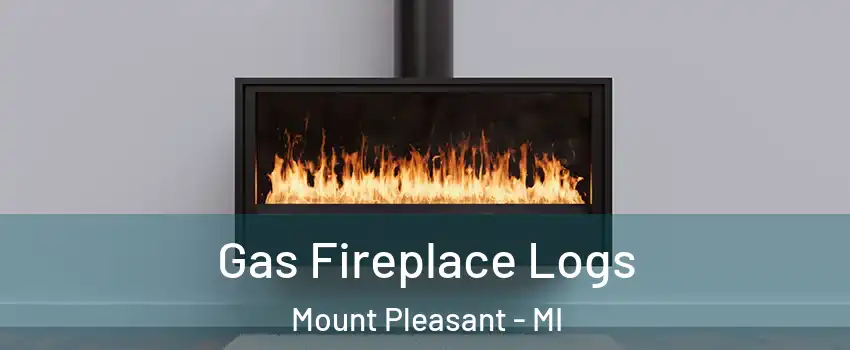  Gas Fireplace Logs Mount Pleasant - MI